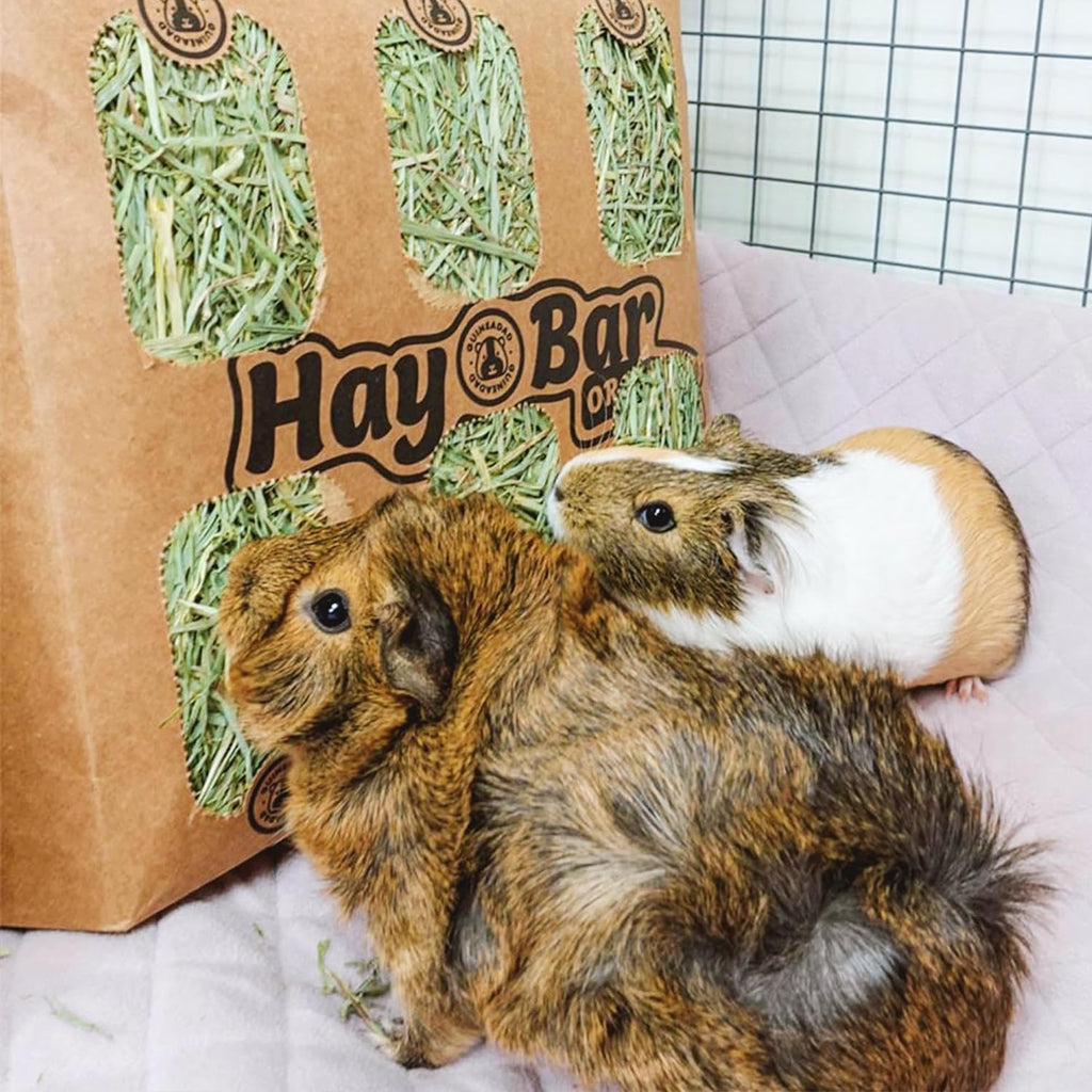 Orchard Hay Guinea Pig Food 5 Pack R62477