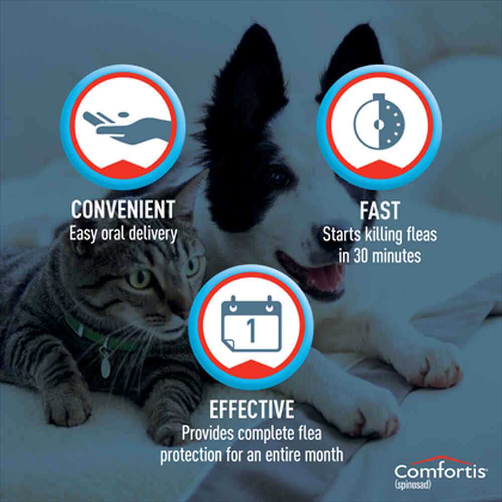 Chewable Tablets for Dogs & Cats R736941