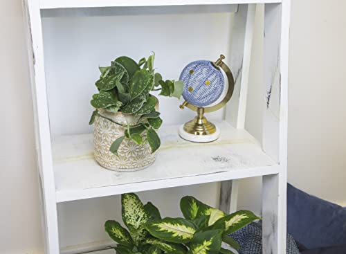 4PK Live Pothos Indoor Houseplants T26499