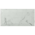 Ceramic Subway Tile F554