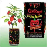 Carolina Reaper Plant Kit L702102