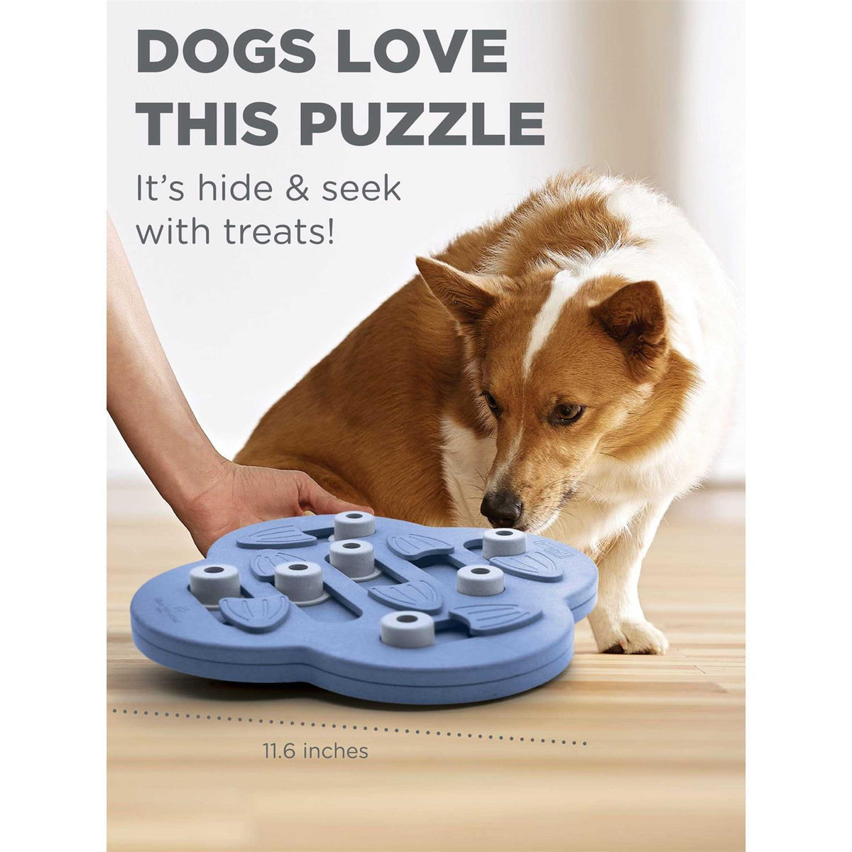 Hide N Slide Puzzle Dog Toy P832174