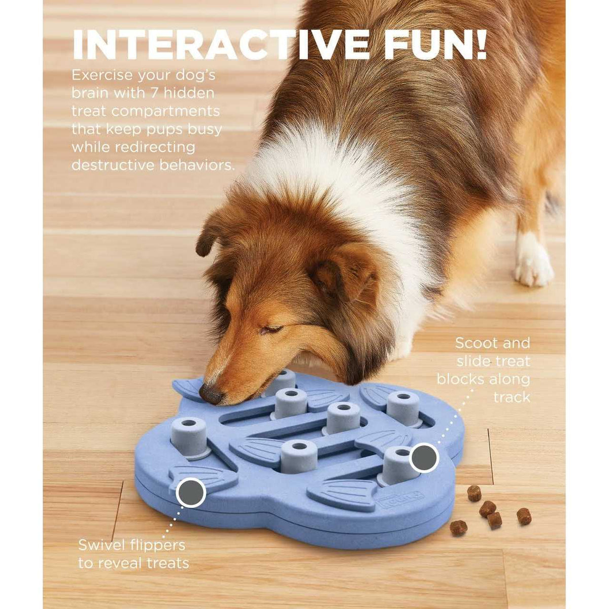 Hide N Slide Puzzle Dog Toy P832174