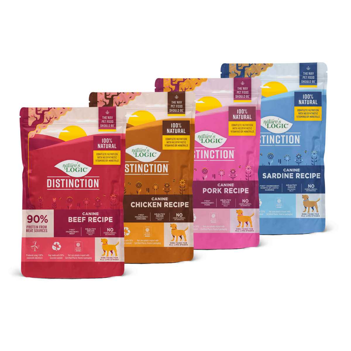 Beef Recipe Dry Dog Food R266650