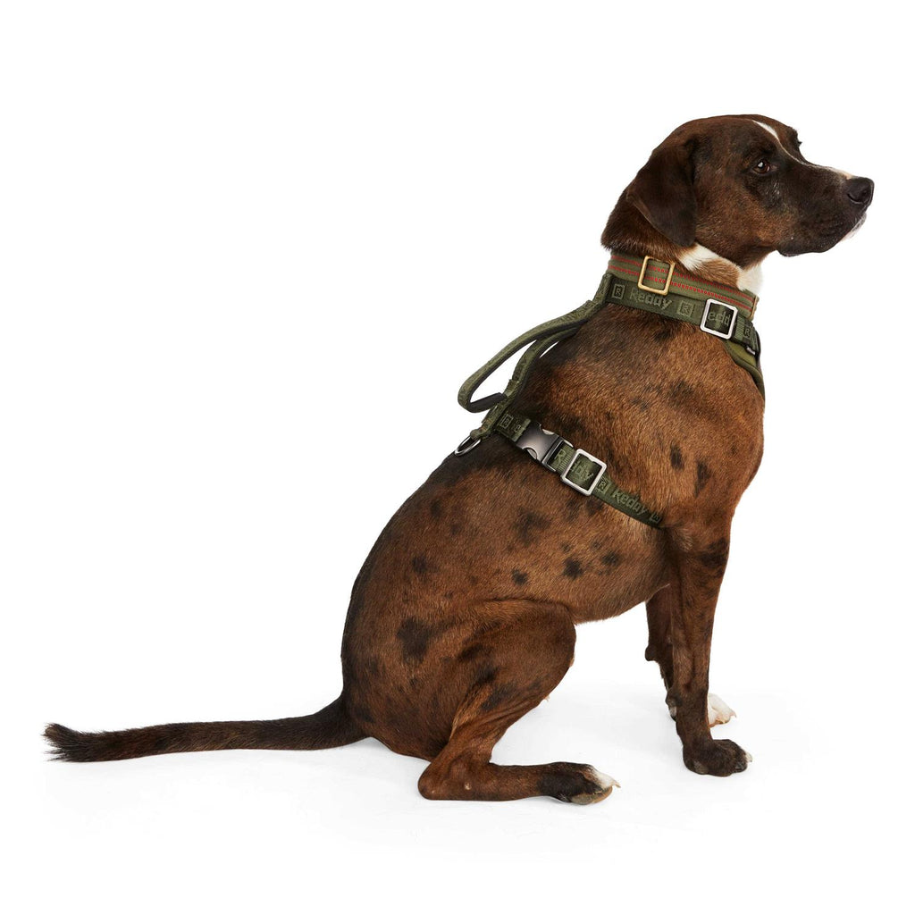 Dog Harness N8022