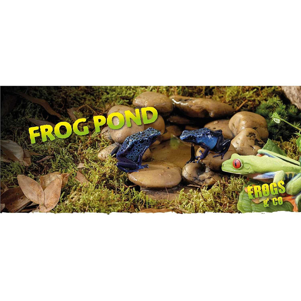 Frog Pond V516