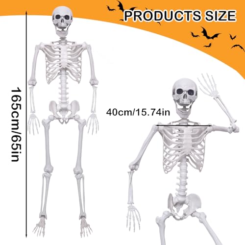 5.4Ft Posable Plastic Skeletons 2Pack E72803