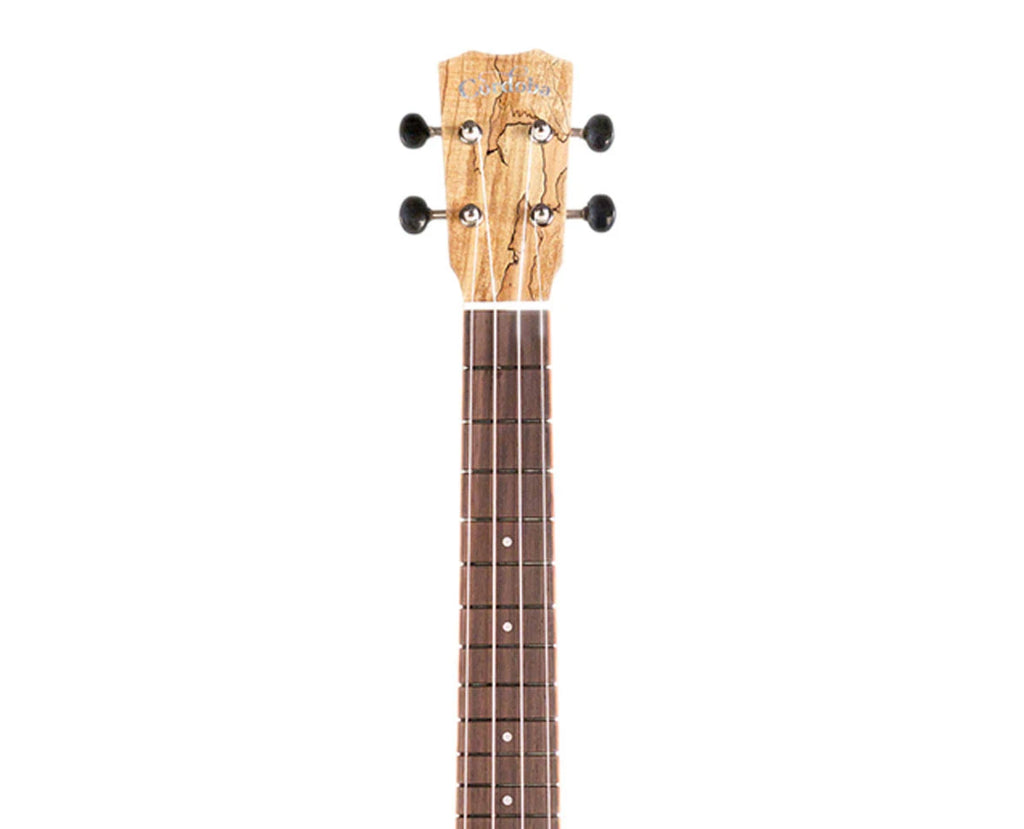 Tenor Ukulele Y18069