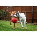 Pet Supplies X6173