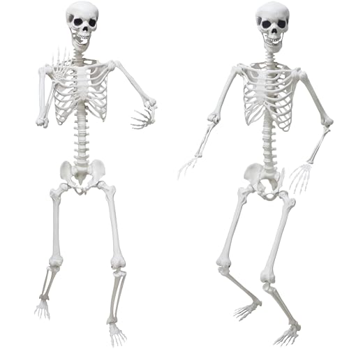 5.4Ft Posable Plastic Skeletons 2Pack E72803