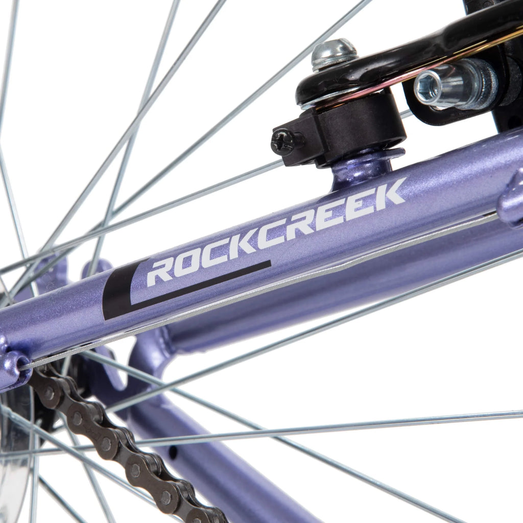 24 Purple Mountain Bike P39196