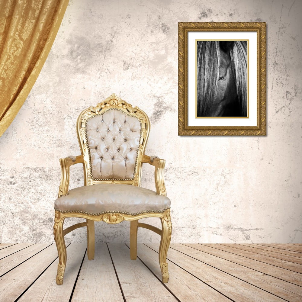 Gold Ornate Wood Framed Museum Art Print U710020
