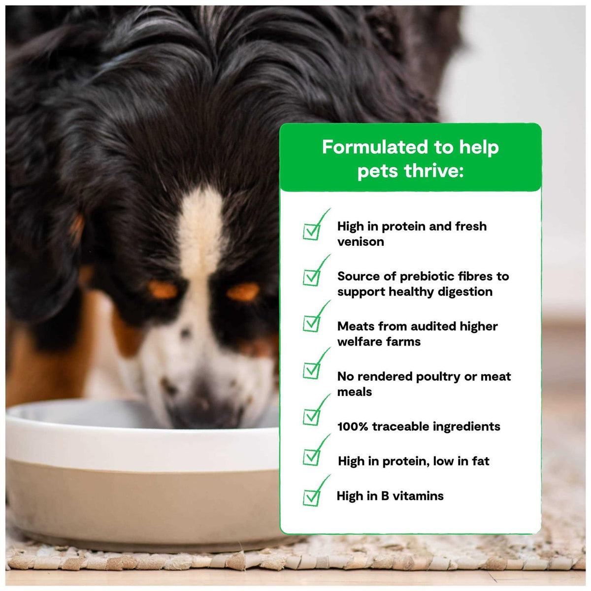 Grain Free Dry Dog Food A765599