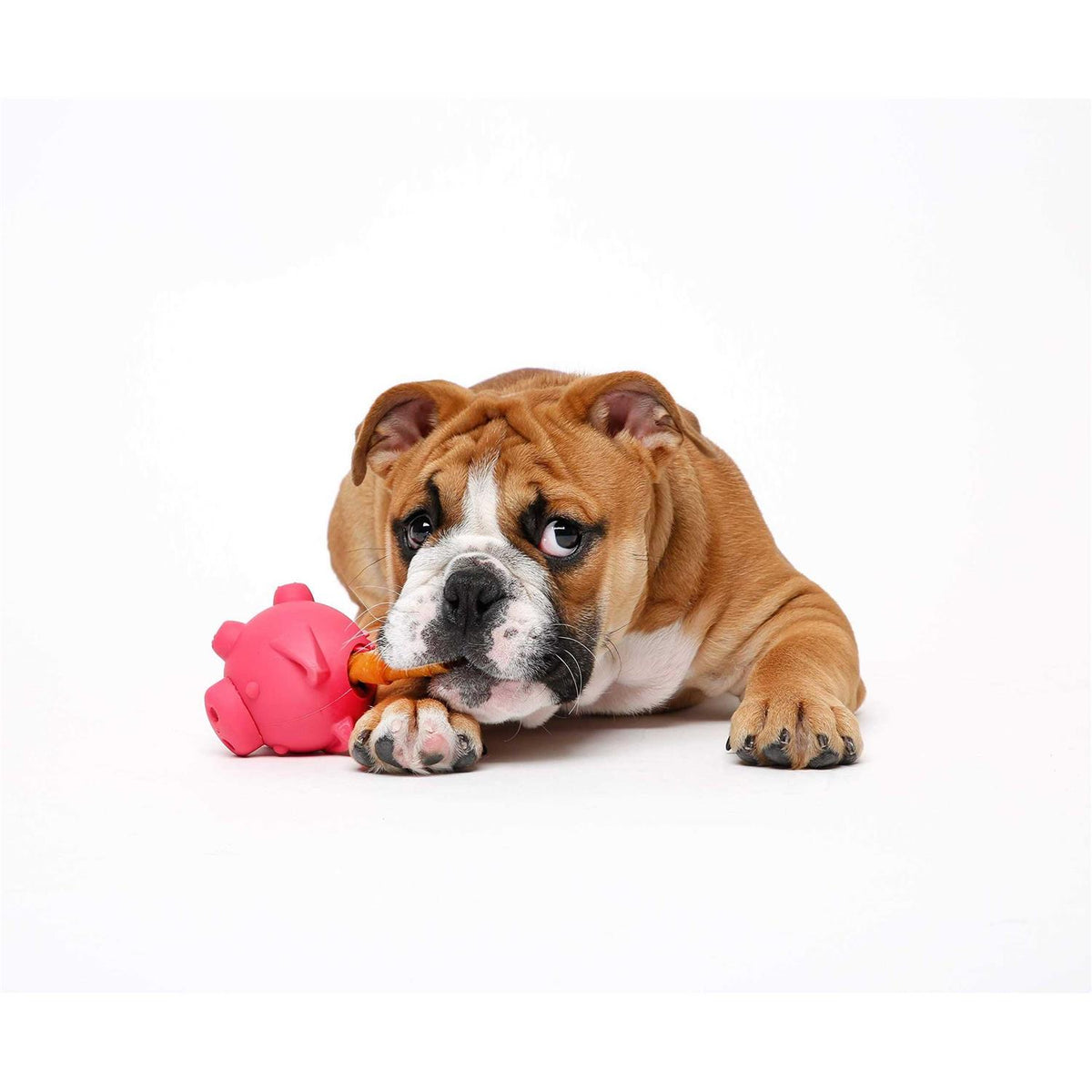 Dog Toy S23016