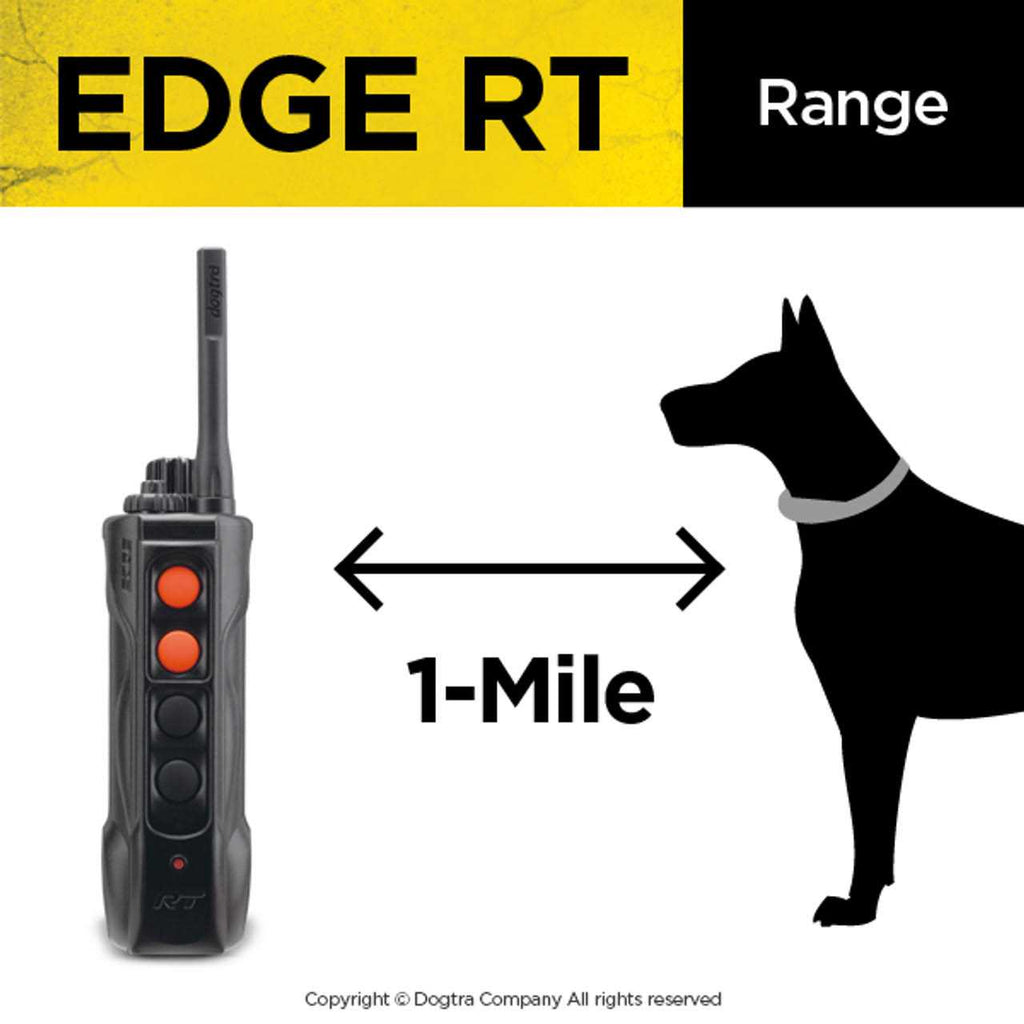 Dogtra EDGE RT G4405