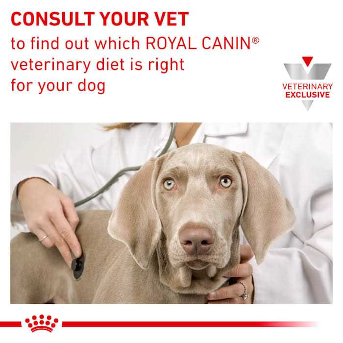 Canine Renal Support Morsels in Gravy Canned Dog Food D68139