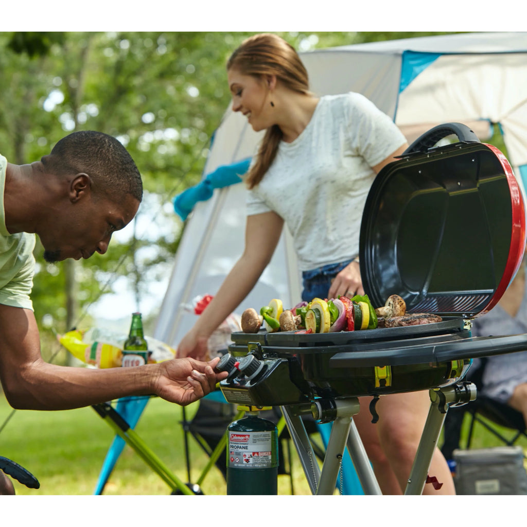 2 Burner Propane Gas Portable Grill R287393