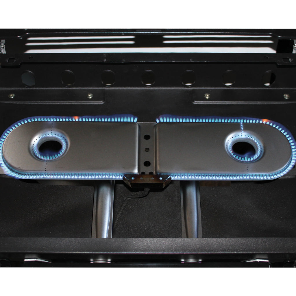2 Burner Propane Gas Portable Grill R287393