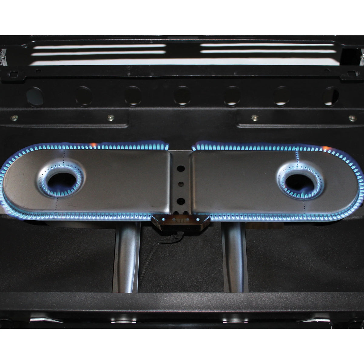2 Burner Propane Gas Portable Grill R287393