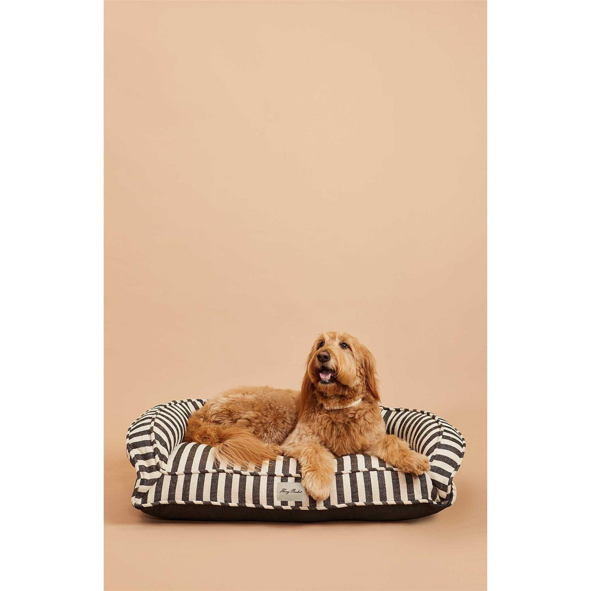 Buffalo Check Lounger Q710166
