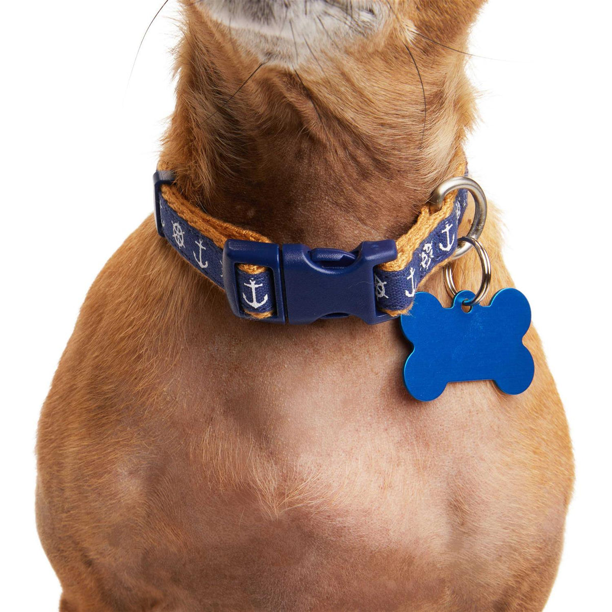 Dog Collar M180