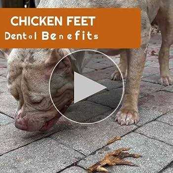 Chicken Feet Dog Treats J599