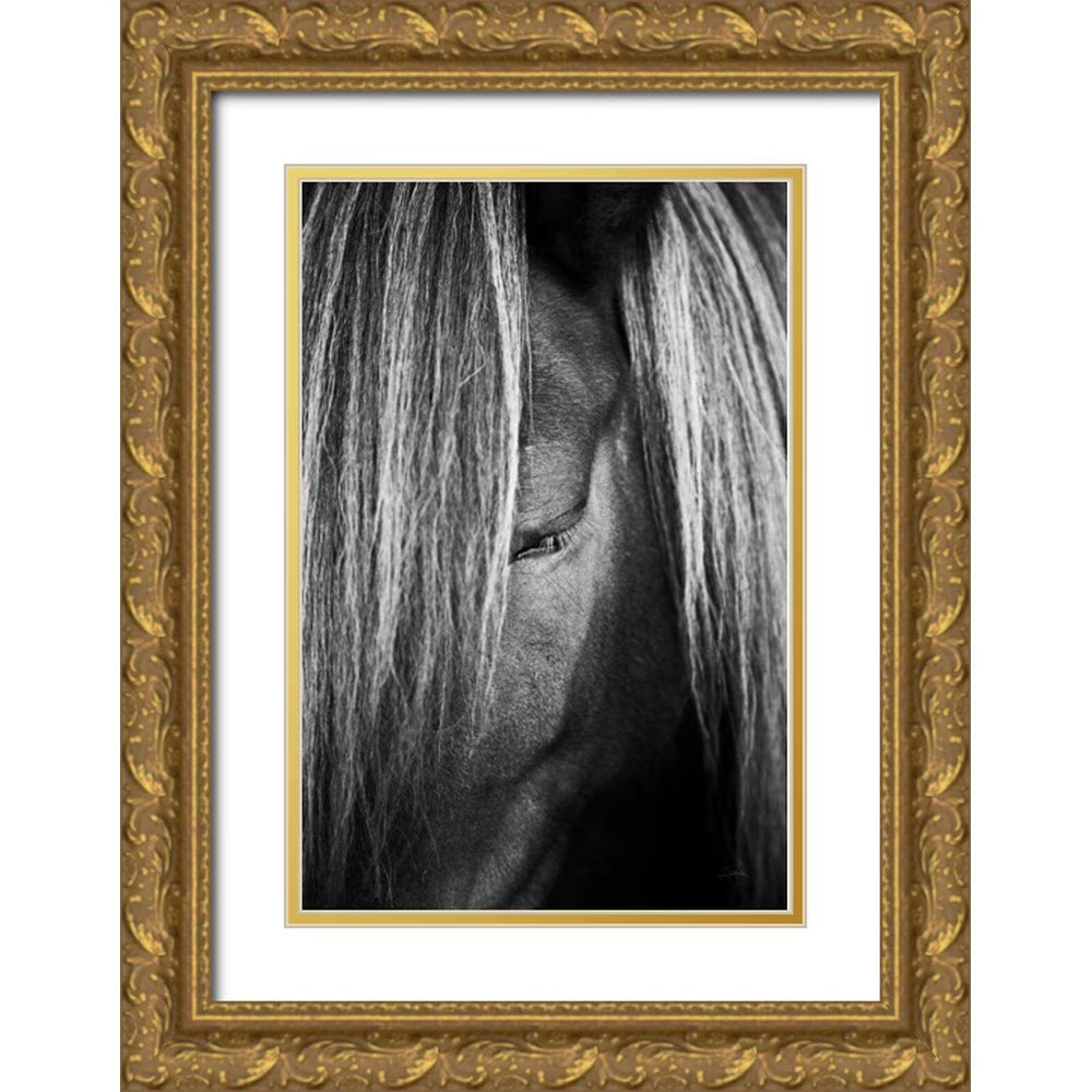 Gold Ornate Wood Framed Museum Art Print U710020