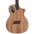 Zebra Acoustic-Electric Guitar J929002