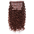 Curly Lace Clip-In Hair Extensions U64580