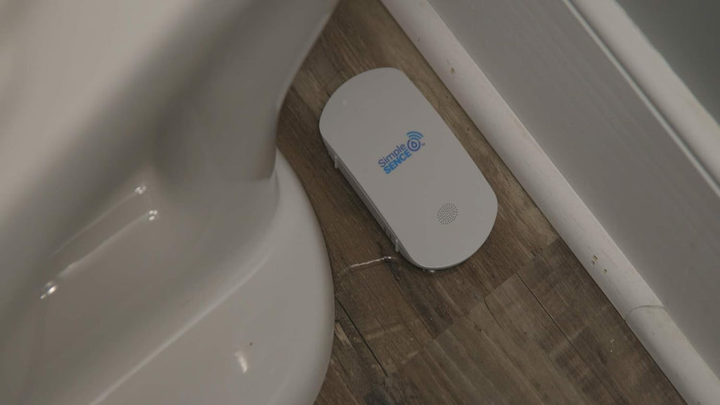 Smart WiFi Water Leak and Freeze Detector with Audible Alarm (1 Pack) K6402