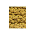 Spray Millet Z827