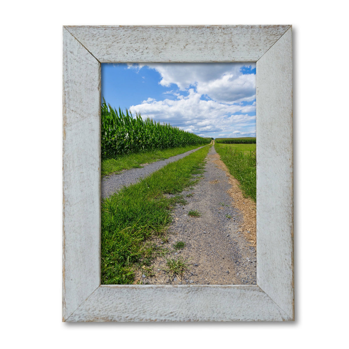 Distressed Whitewashed Frame 16x20 H3669