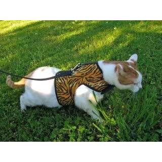 Cat Harness P80373
