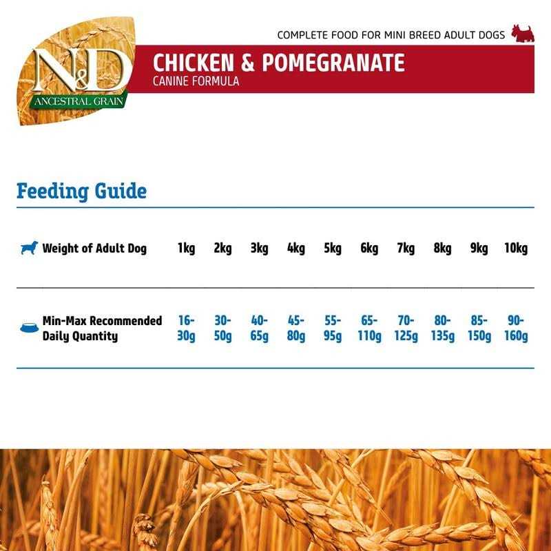Chicken & Pomegranate Dry Dog Food V41733