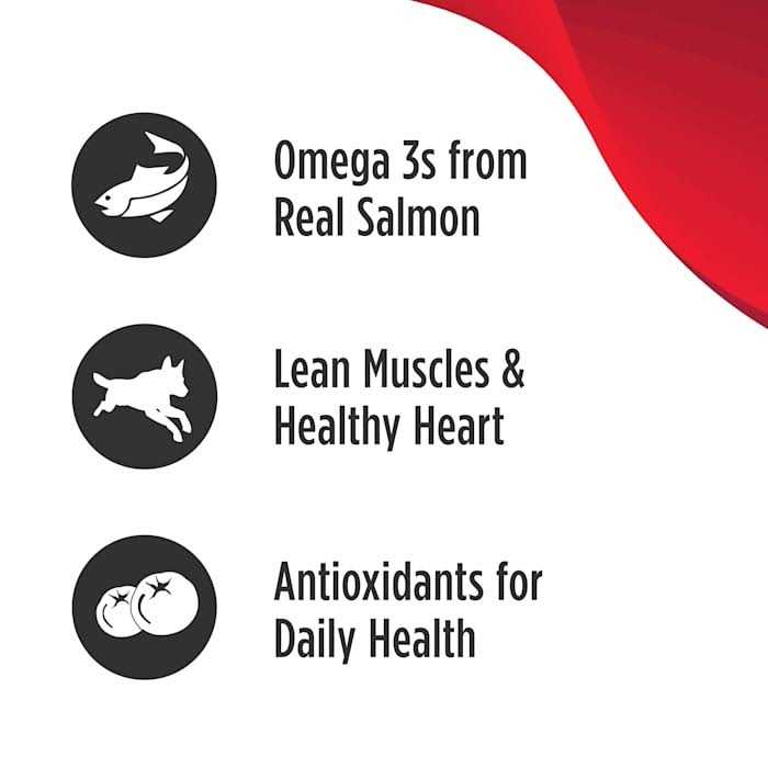 Grain Free Salmon & Sweet Potato Dry Dog Food I224