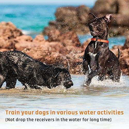 Waterproof Rechargeable Dog Shock Collar with Remote N932